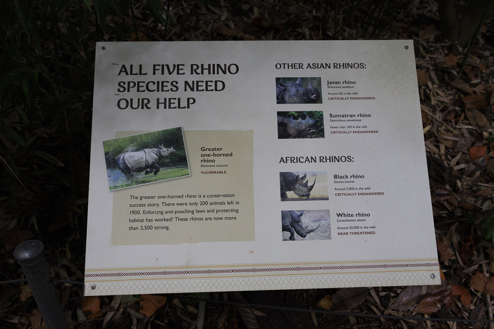 Woodland Park Zoo — photo 74